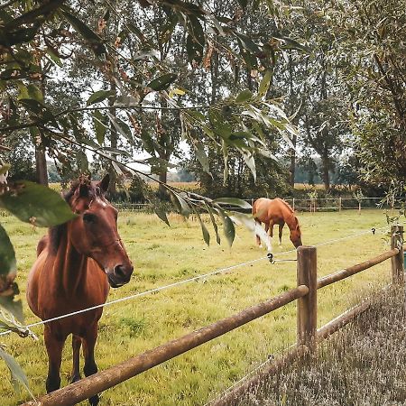 Hoeve Westdijk Oostkamp Exteriér fotografie