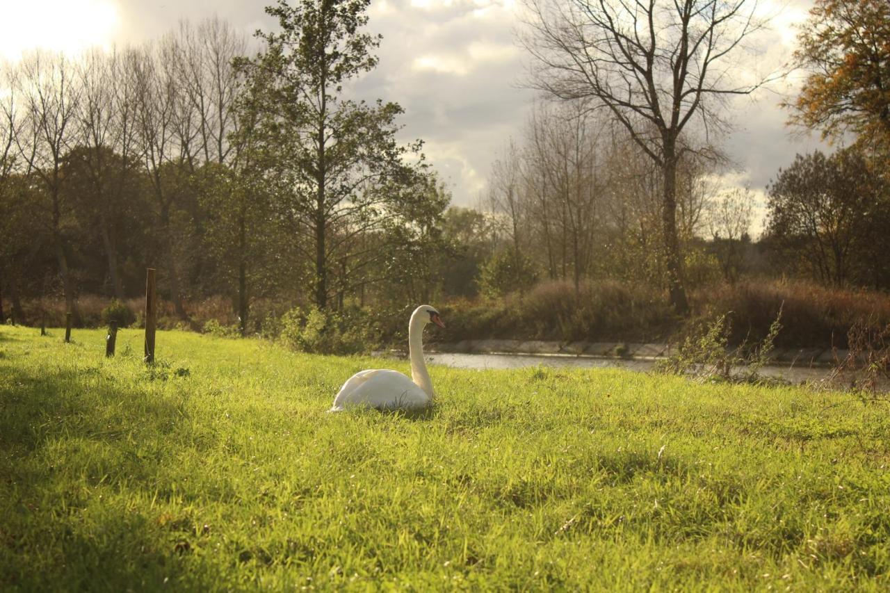 Hoeve Westdijk Oostkamp Exteriér fotografie