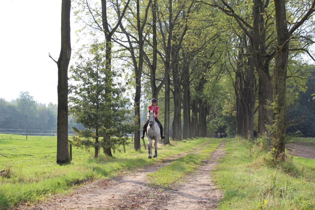 Hoeve Westdijk Oostkamp Exteriér fotografie