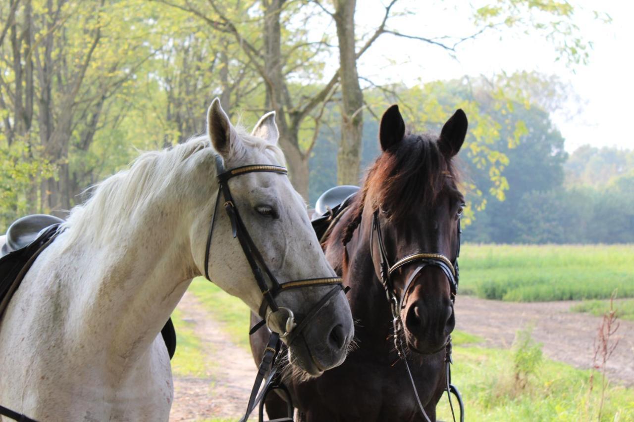 Hoeve Westdijk Oostkamp Exteriér fotografie