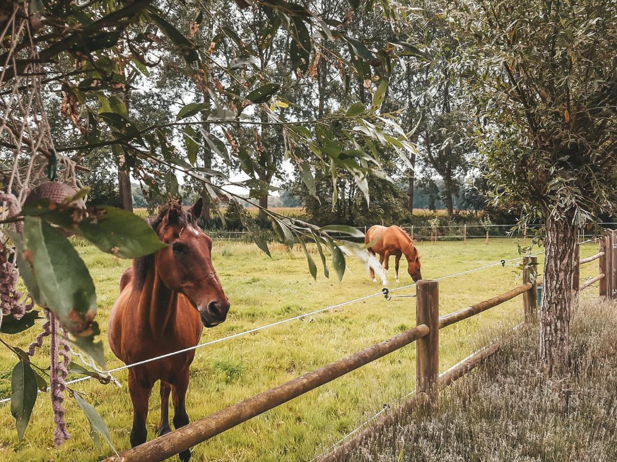 Hoeve Westdijk Oostkamp Exteriér fotografie